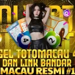 Olxtoto – Experience Official Bandar Toto Macau Live Results Instantly